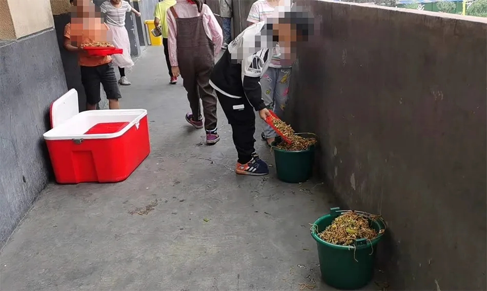 安徽小学生营养餐倒入垃圾桶校方:倒掉实在浪费